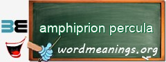 WordMeaning blackboard for amphiprion percula